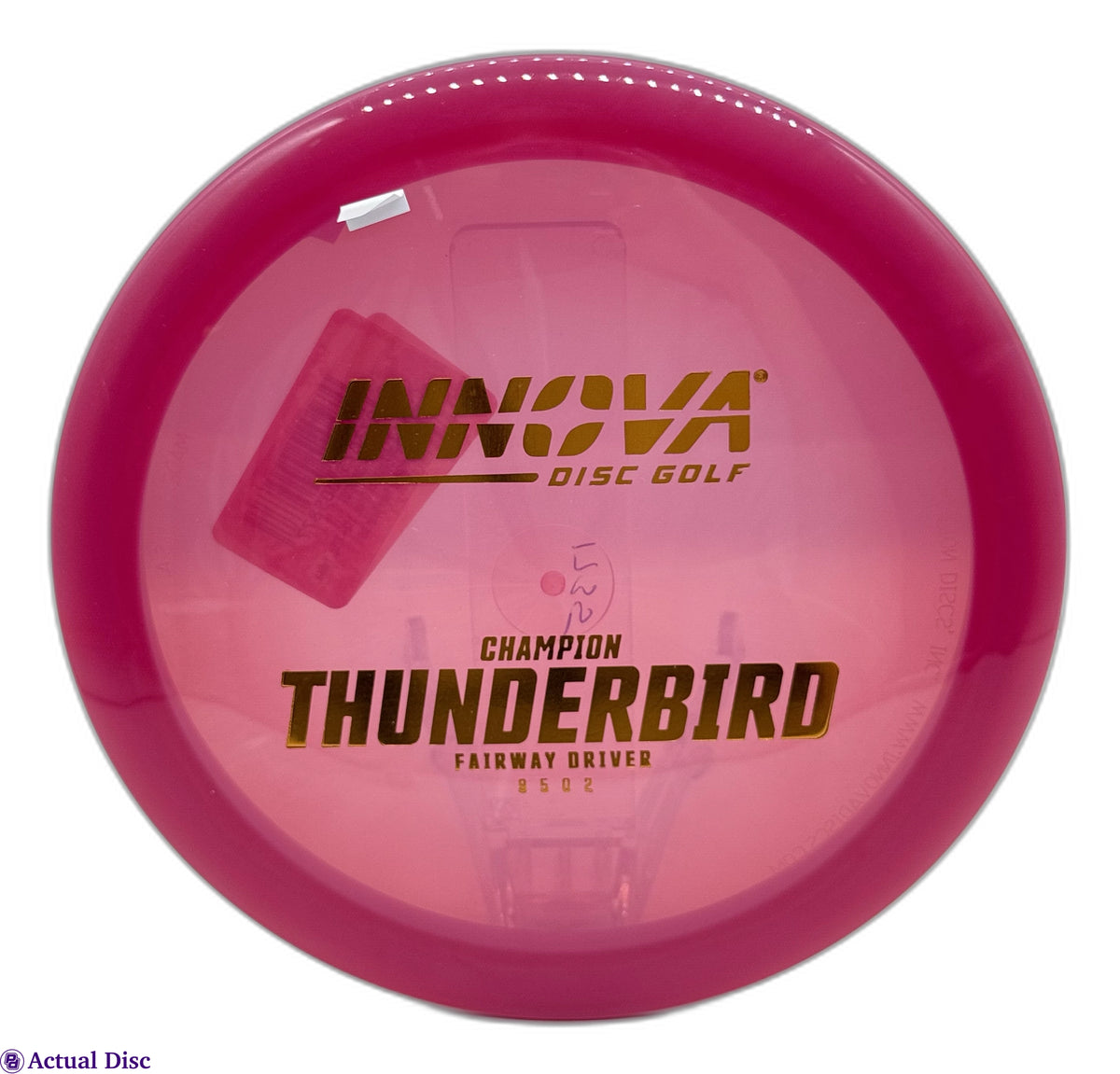 Champion Thunderbird